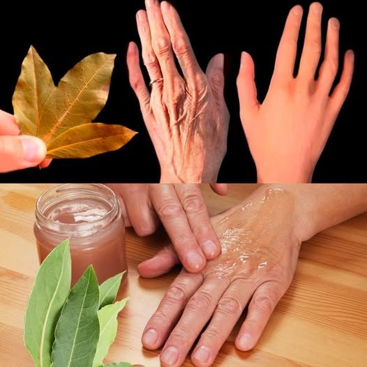 Bay Leaf Is a Million Times Stronger Than Botox and Collagen โ It Removes All Wrinkles and Fine Lines