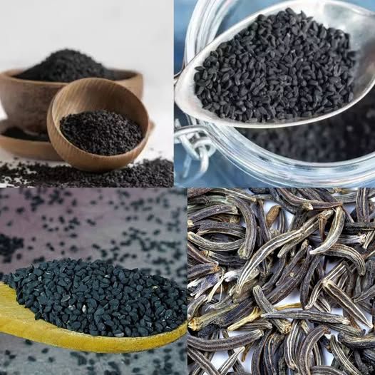 Cures Everything But Death – This Seed Cures Over 200 Diseases