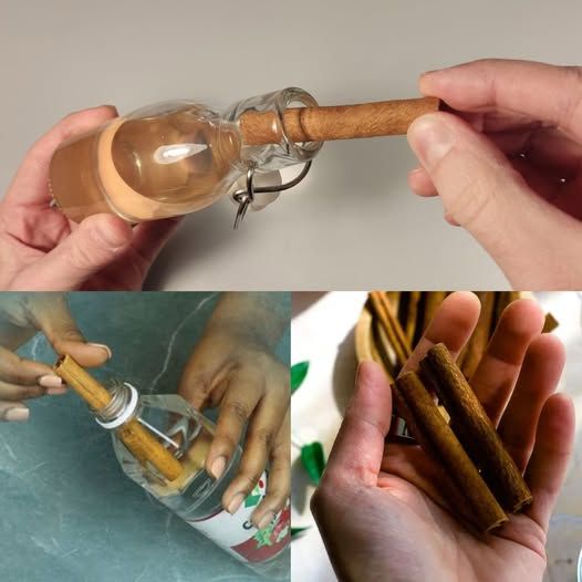 Just Dip Cinnamon in Vinegar and You Won’t Believe How Effective It Is