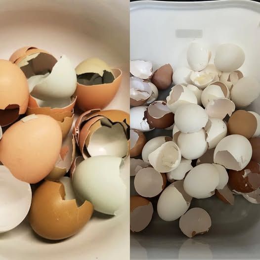 5 Foods That Have More Calcium Than Milk โ Get Stronger Bones