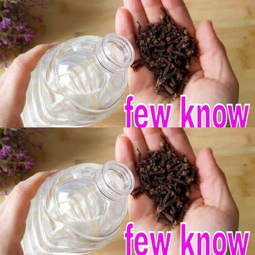 I Put Cloves in White Vinegar – Here Is What Happened (And Why You Should Try It Too)