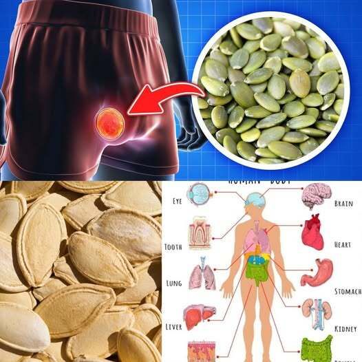 What Happens To Your Body When You Eat Pumpkin Seeds Every Day