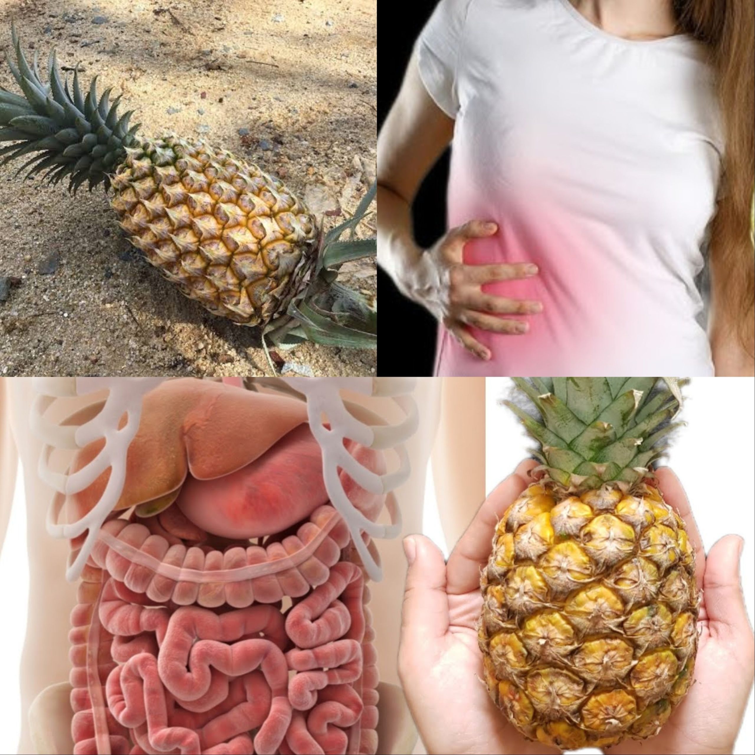 Feel Lighter in 3 Days: A Gentle Pineapple Plan to Support Digestion and Natural Cleansing