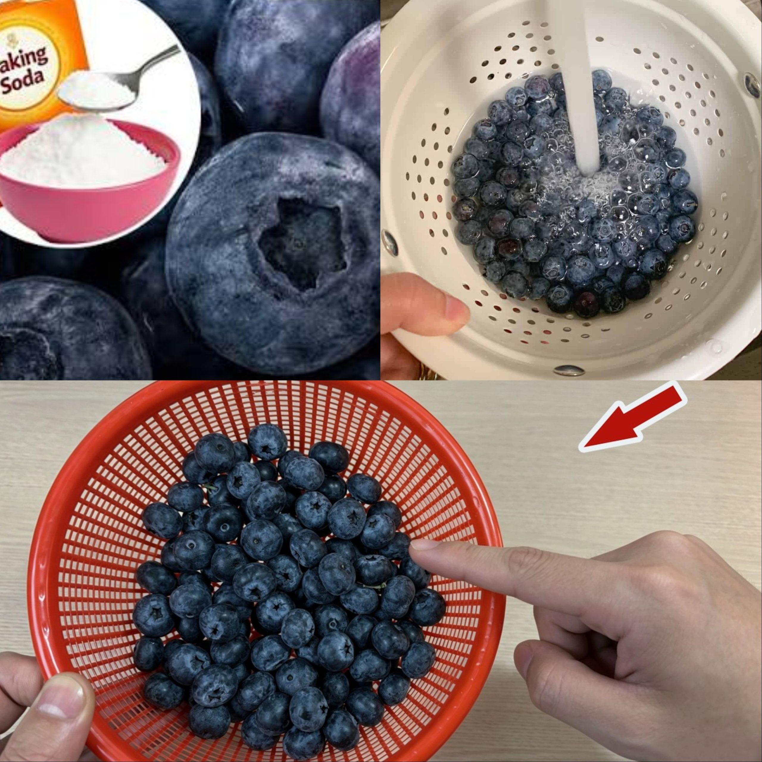 STOP Washing Blueberries with WATER! This Is the CORRECT WAY! 💥 (AMAZING) 🤯