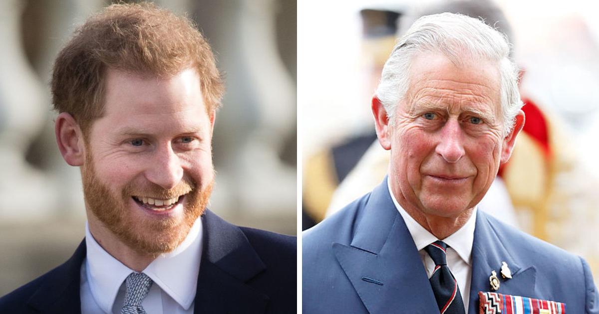 Fans Spot Striking Resemblance: Bearded Young Prince Charles Looks Just Like Prince Harry