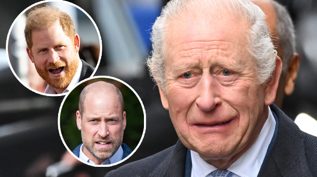 King Charles’ Plea to William and Harry Resurfaces as Report Points to an Emotional Reunion Date